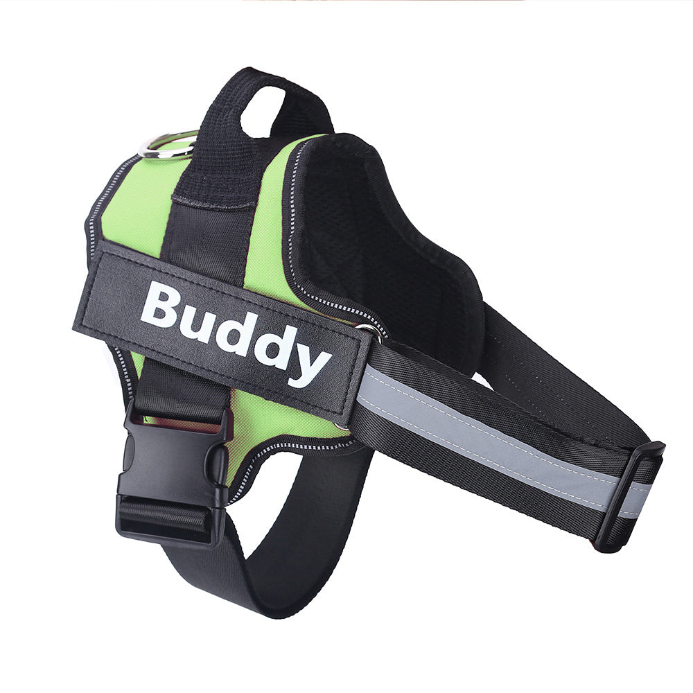 Safe Night Walks with Reflective Custom Dog Harness