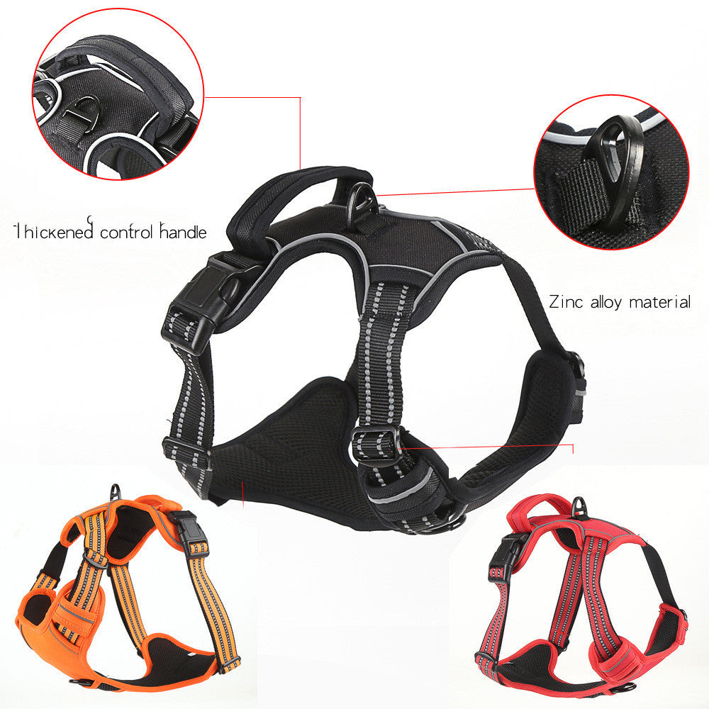 Reflective Harness – Peaceful Walks, Day or Night