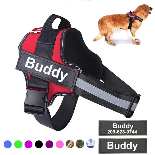 Safe Night Walks with Reflective Custom Dog Harness