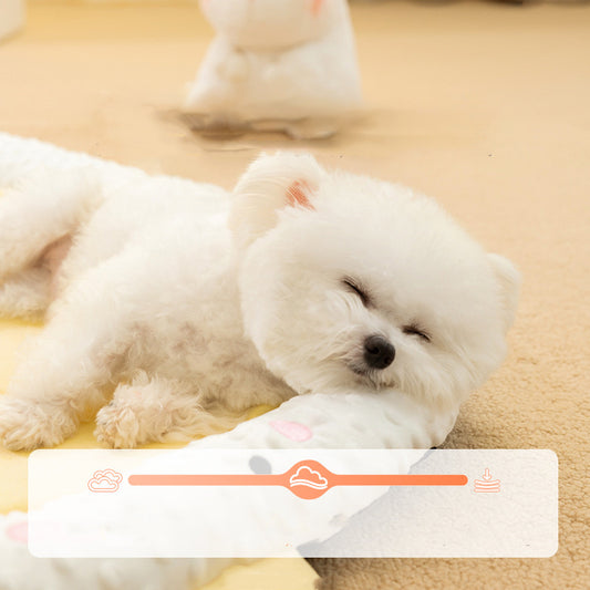 Cozy Orthopedic Dog Bed – Comfort Your Pup Deserves