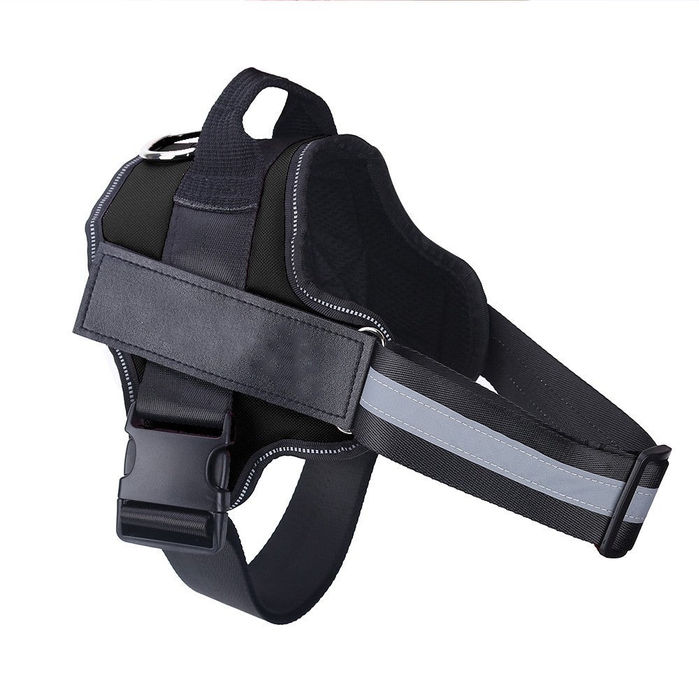 Safe Night Walks with Reflective Custom Dog Harness