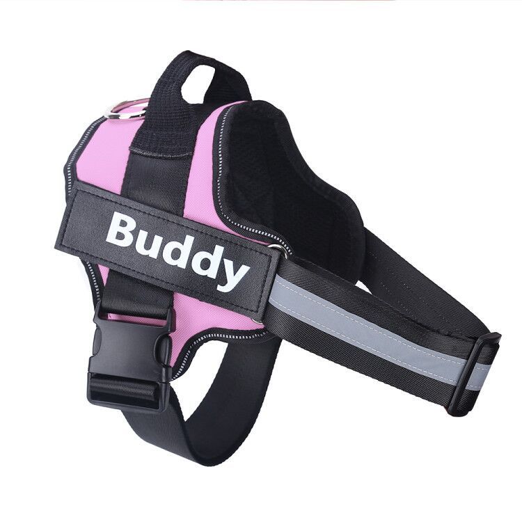 Safe Night Walks with Reflective Custom Dog Harness