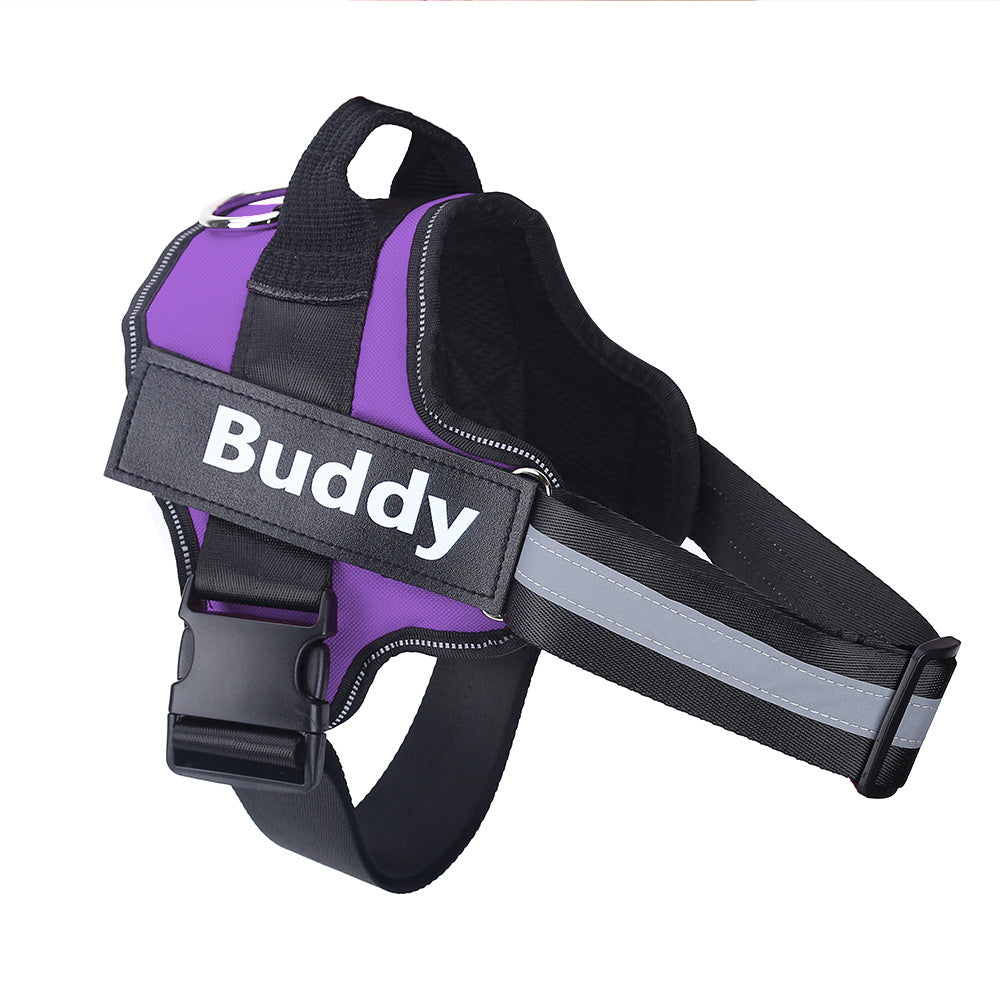 Safe Night Walks with Reflective Custom Dog Harness