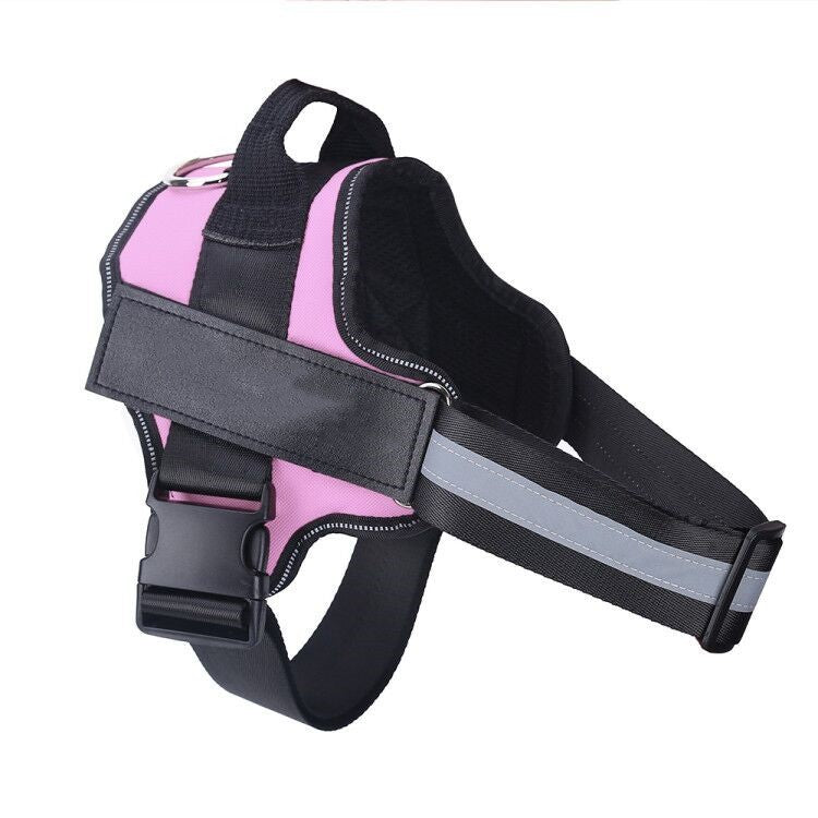 Safe Night Walks with Reflective Custom Dog Harness