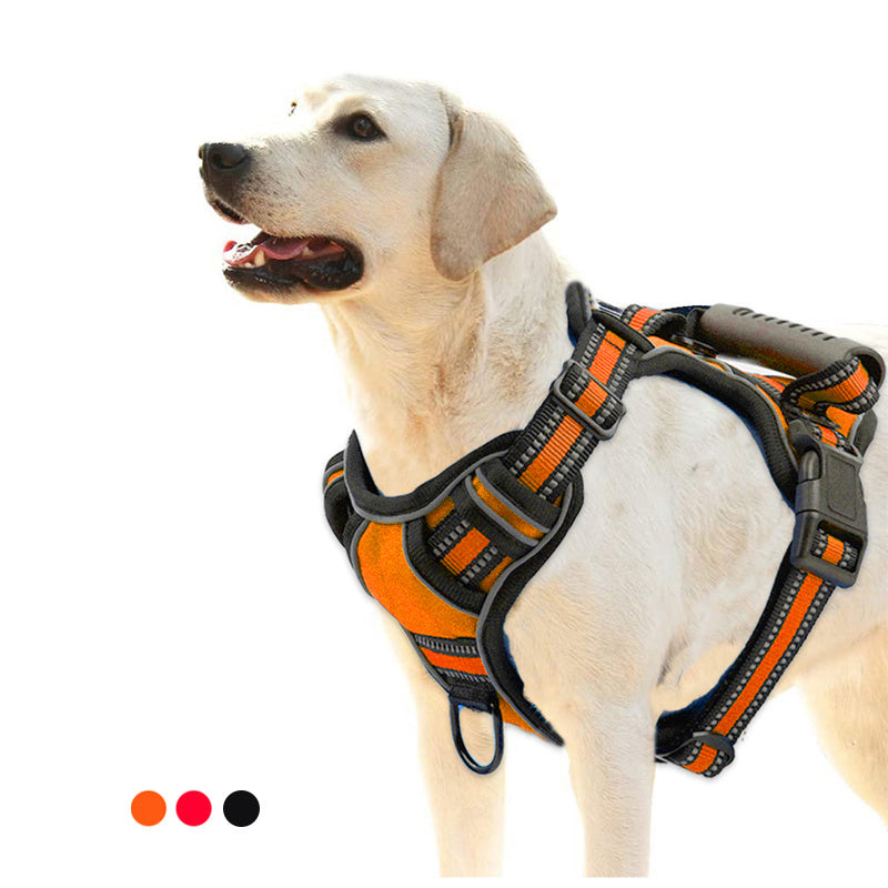 Reflective Harness – Peaceful Walks, Day or Night